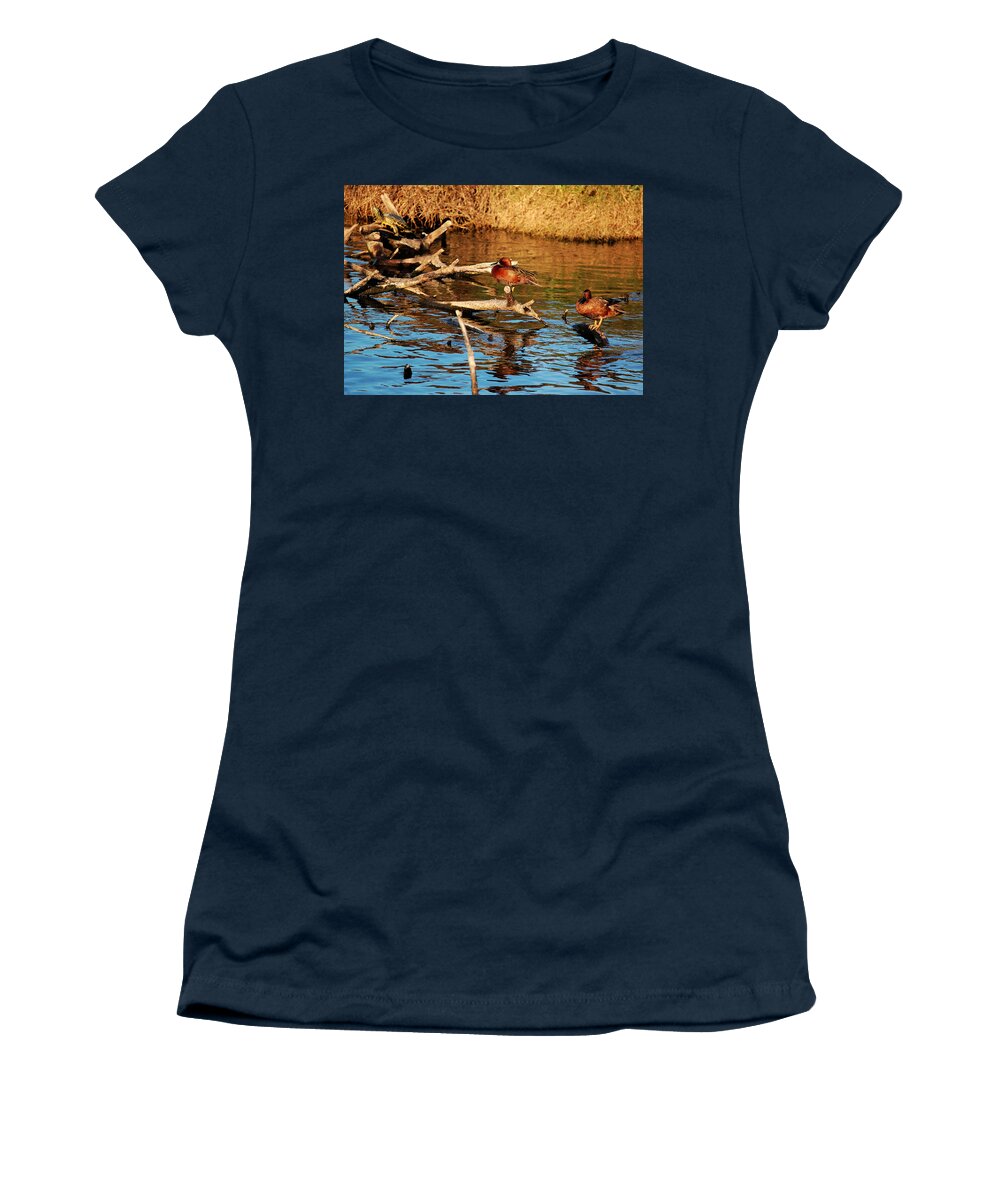 Cinnamon Women's T-Shirt featuring the photograph Cinnamon Teal by Leticia Latocki