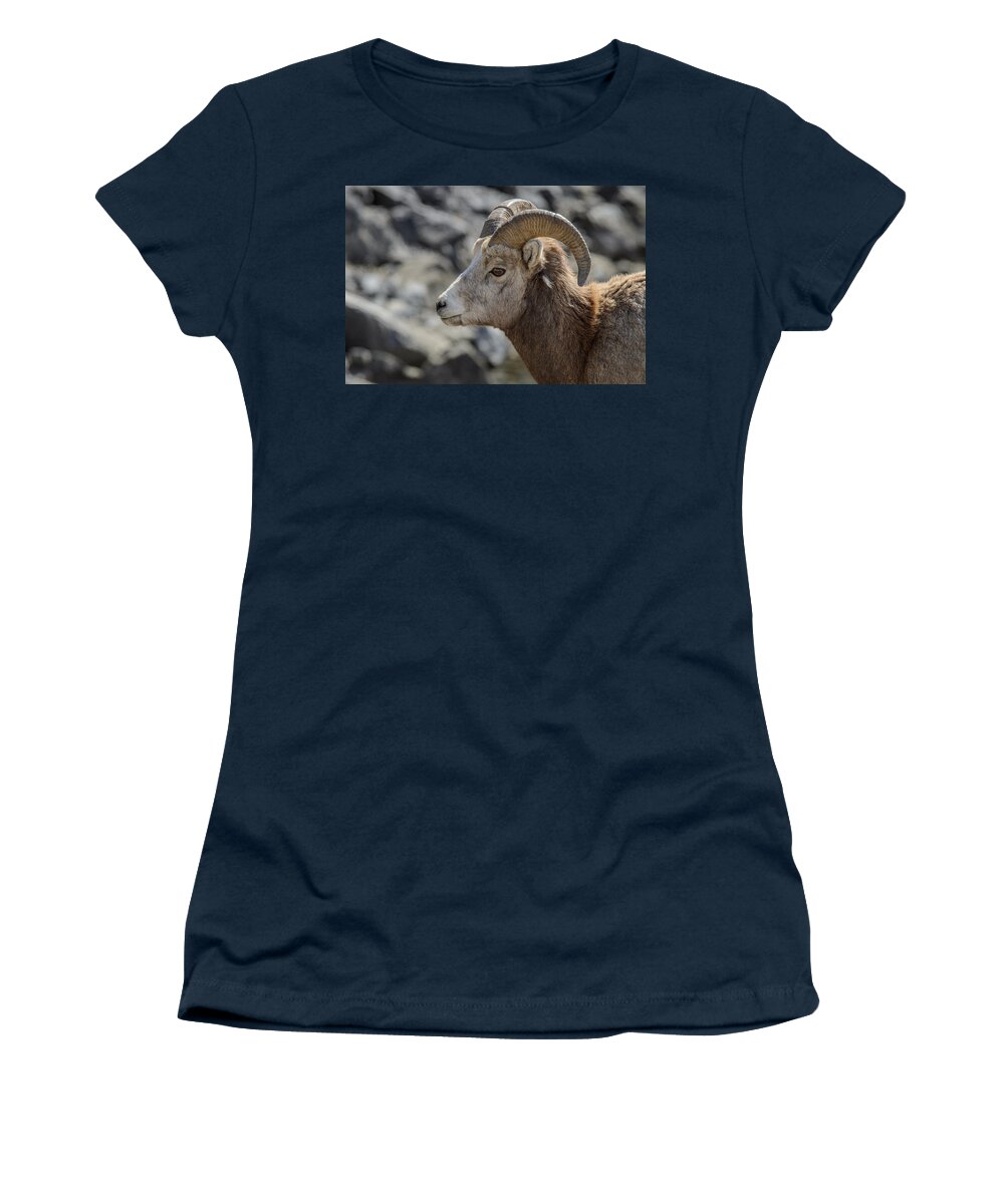 Big Horn Sheep Women's T-Shirt featuring the photograph Close Big Horn Sheep by Roxy Hurtubise