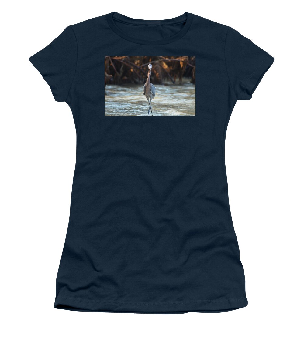 Reddish Egret Women's T-Shirt featuring the photograph Concentration by James Petersen