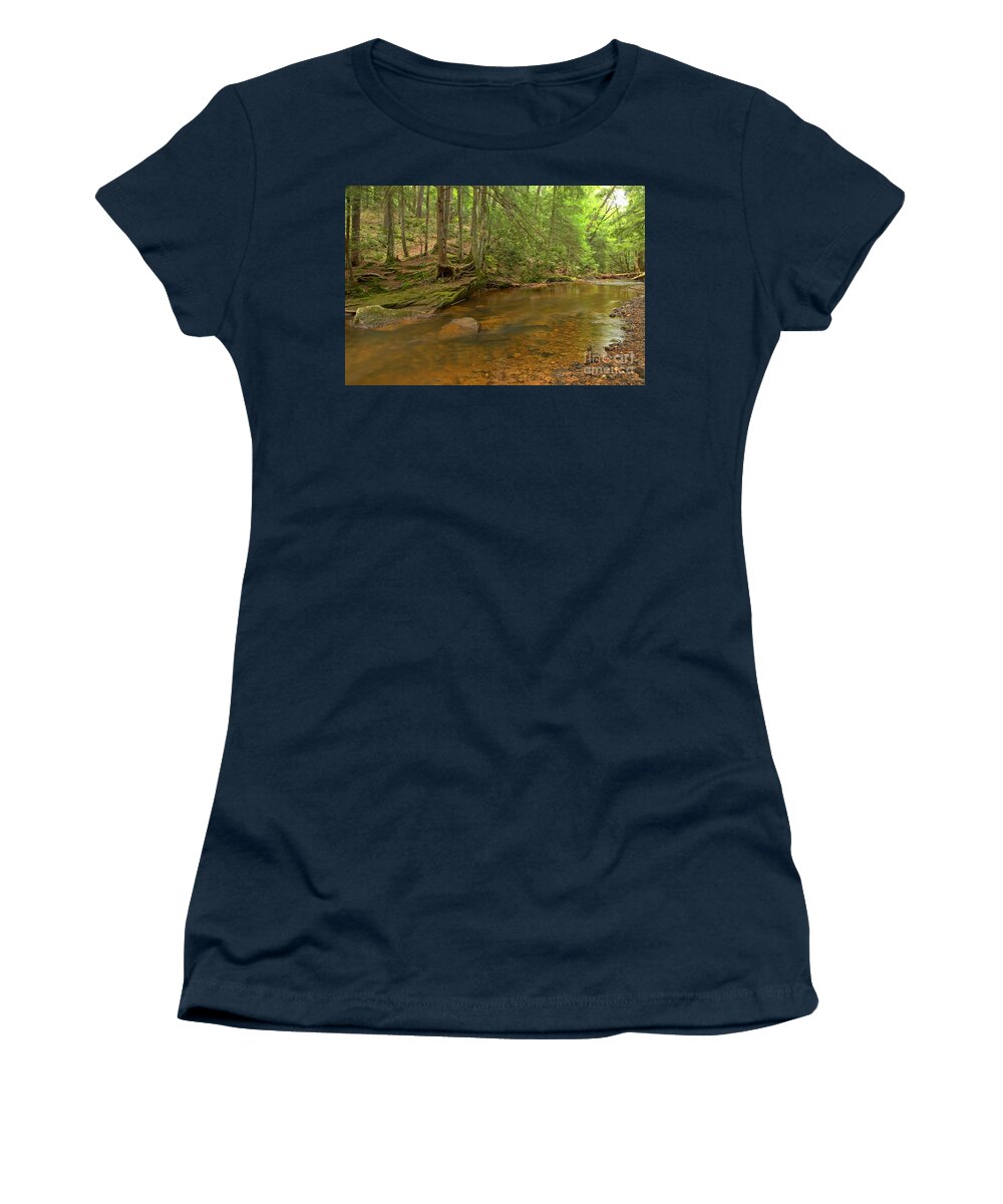 Toms Run Women's T-Shirt featuring the photograph Cook Forest Green Canopy by Adam Jewell