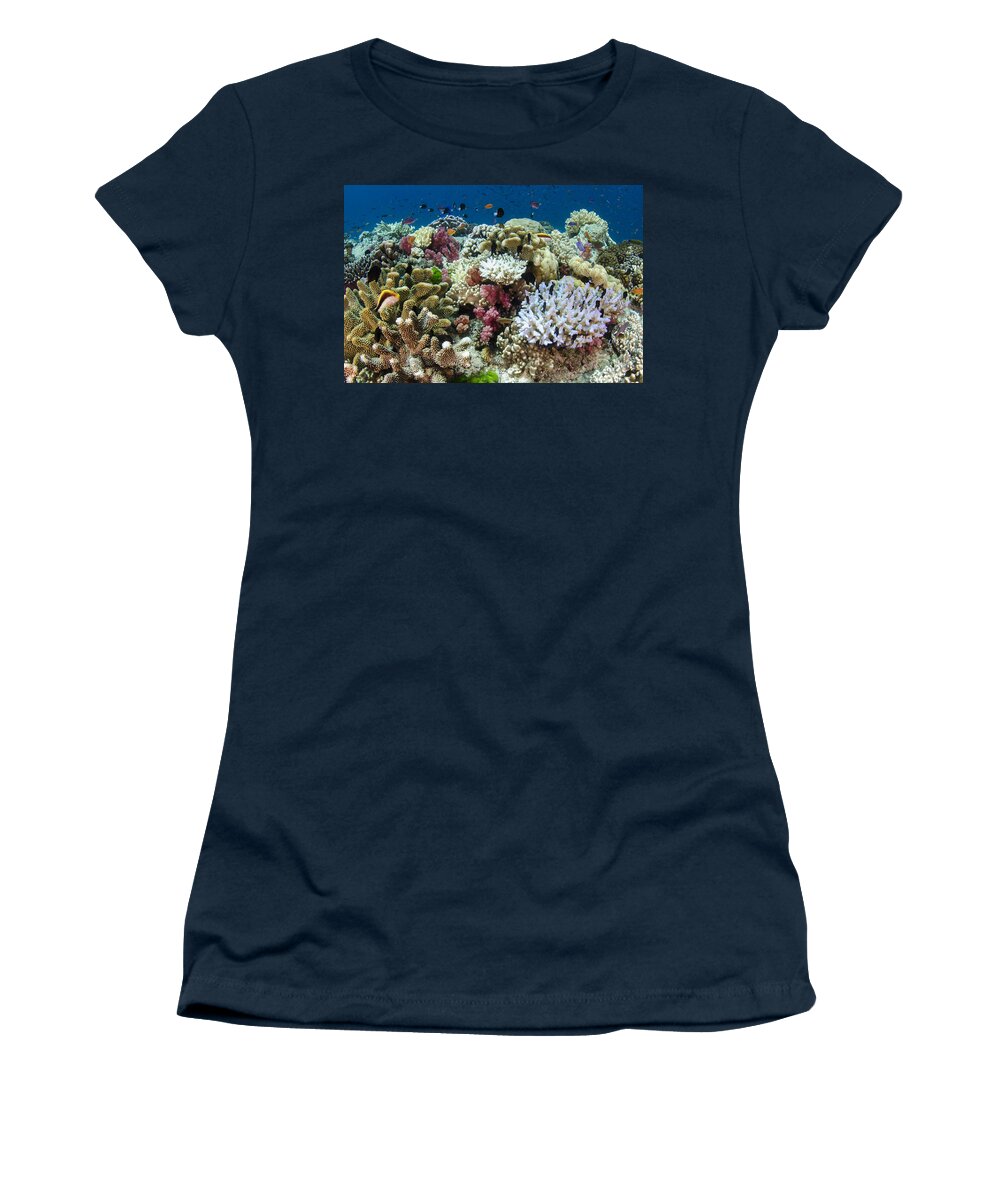 Pete Oxford Women's T-Shirt featuring the photograph Coral Reef Diversity Fiji by Pete Oxford