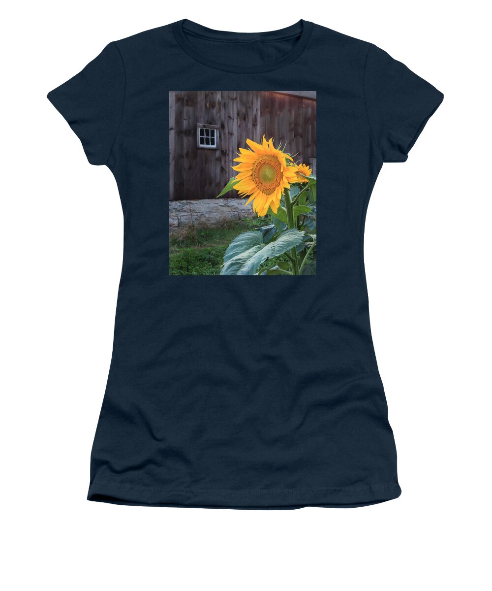 Sunflower Women's T-Shirt featuring the photograph Country Flower by Bill Wakeley