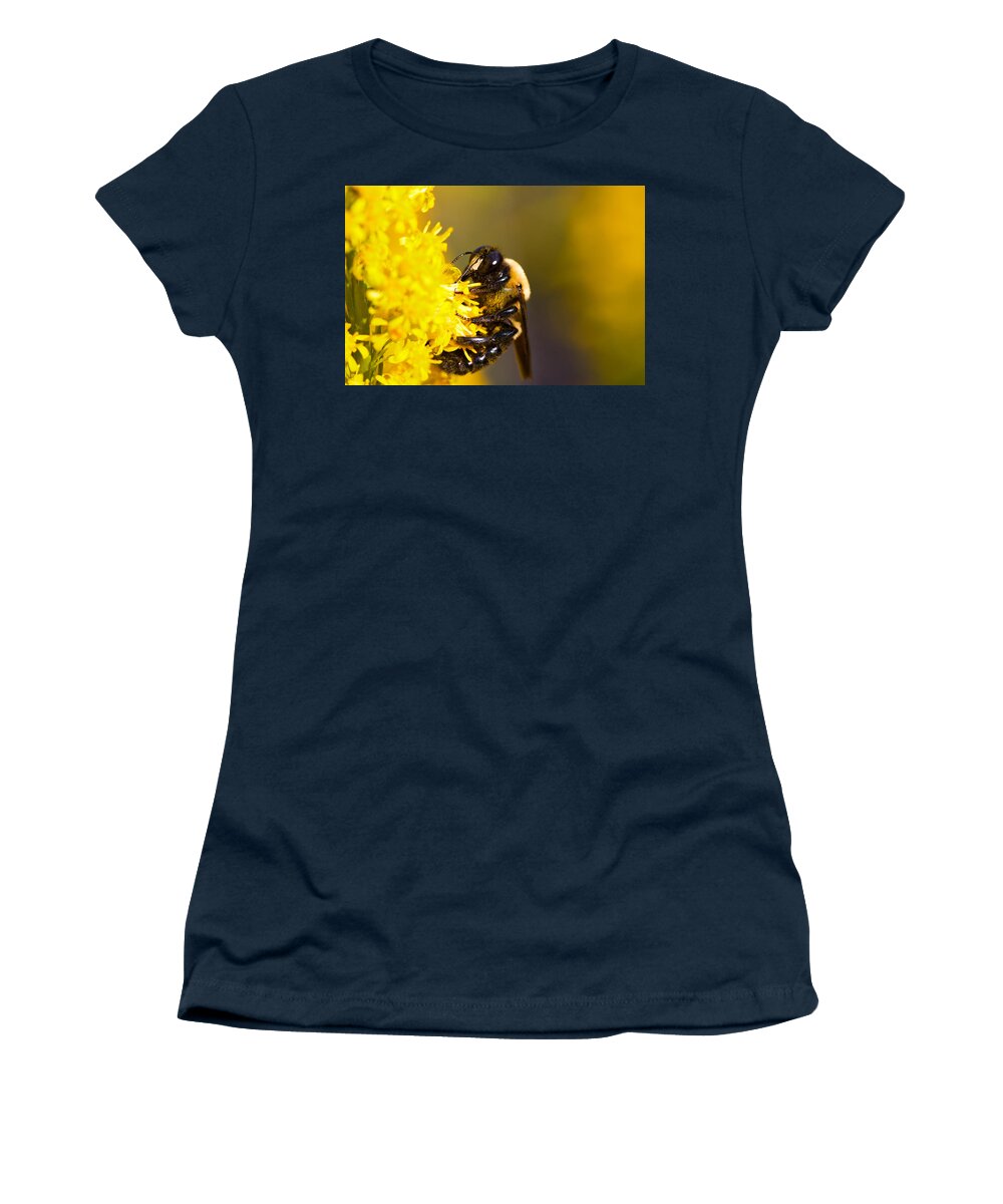 Honey Bee Women's T-Shirt featuring the photograph Covered in Pollin by Diane Macdonald