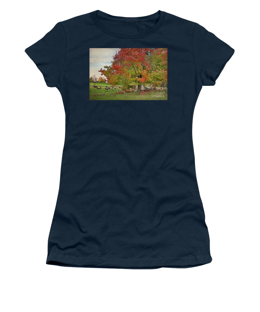 Cows Women's T-Shirt featuring the photograph Cows In Autumn by Deborah Benoit