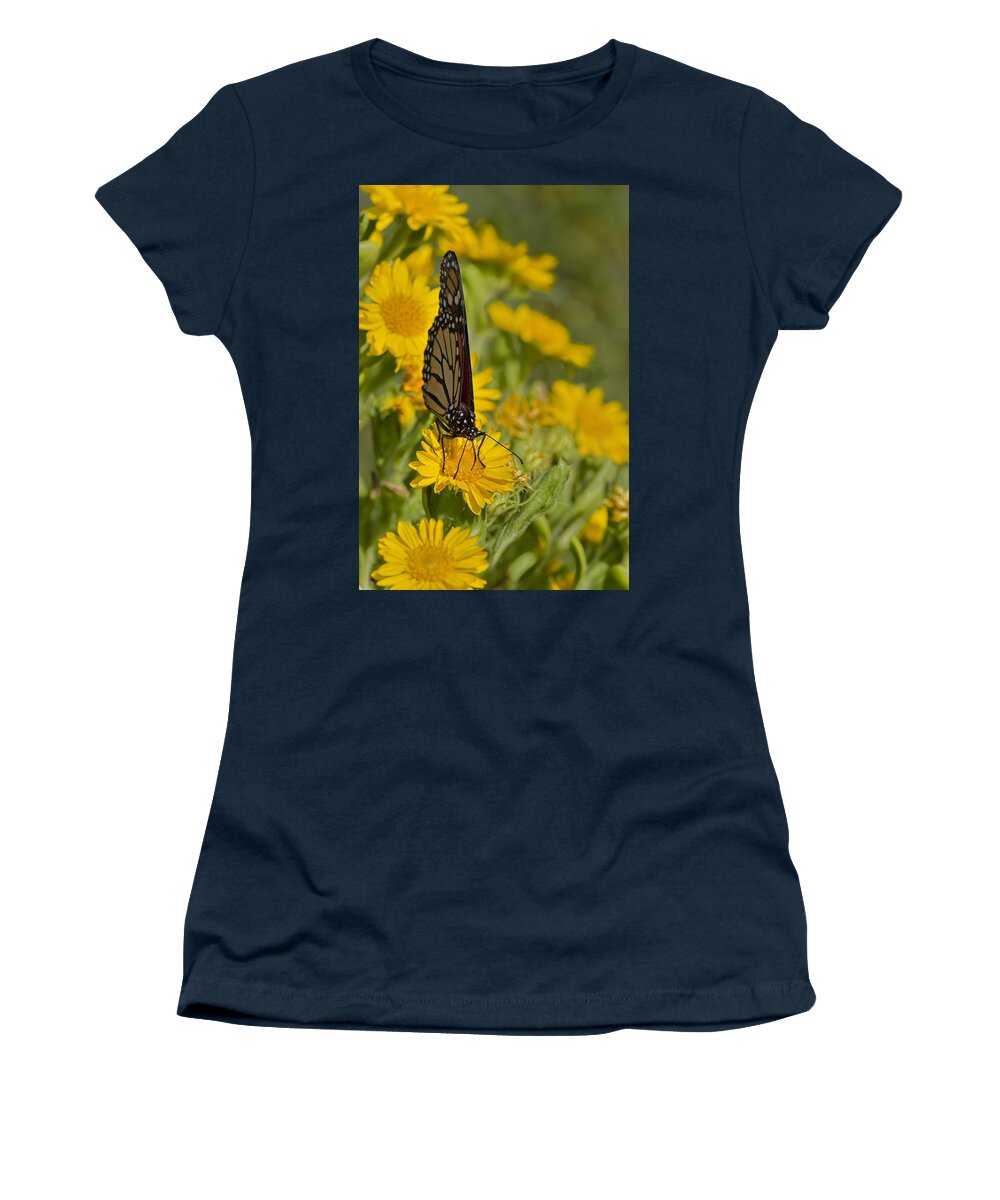 Butterfly Women's T-Shirt featuring the photograph Daisy Daisy Give Me Your Anther Do by Gary Holmes