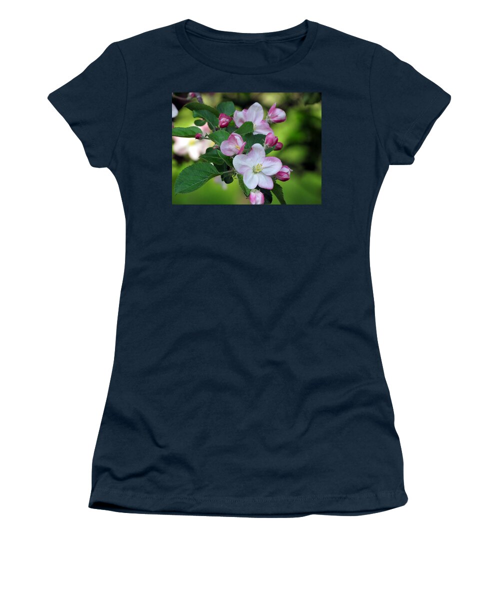 Door County Women's T-Shirt featuring the photograph Door County Apple Blossoms by David T Wilkinson