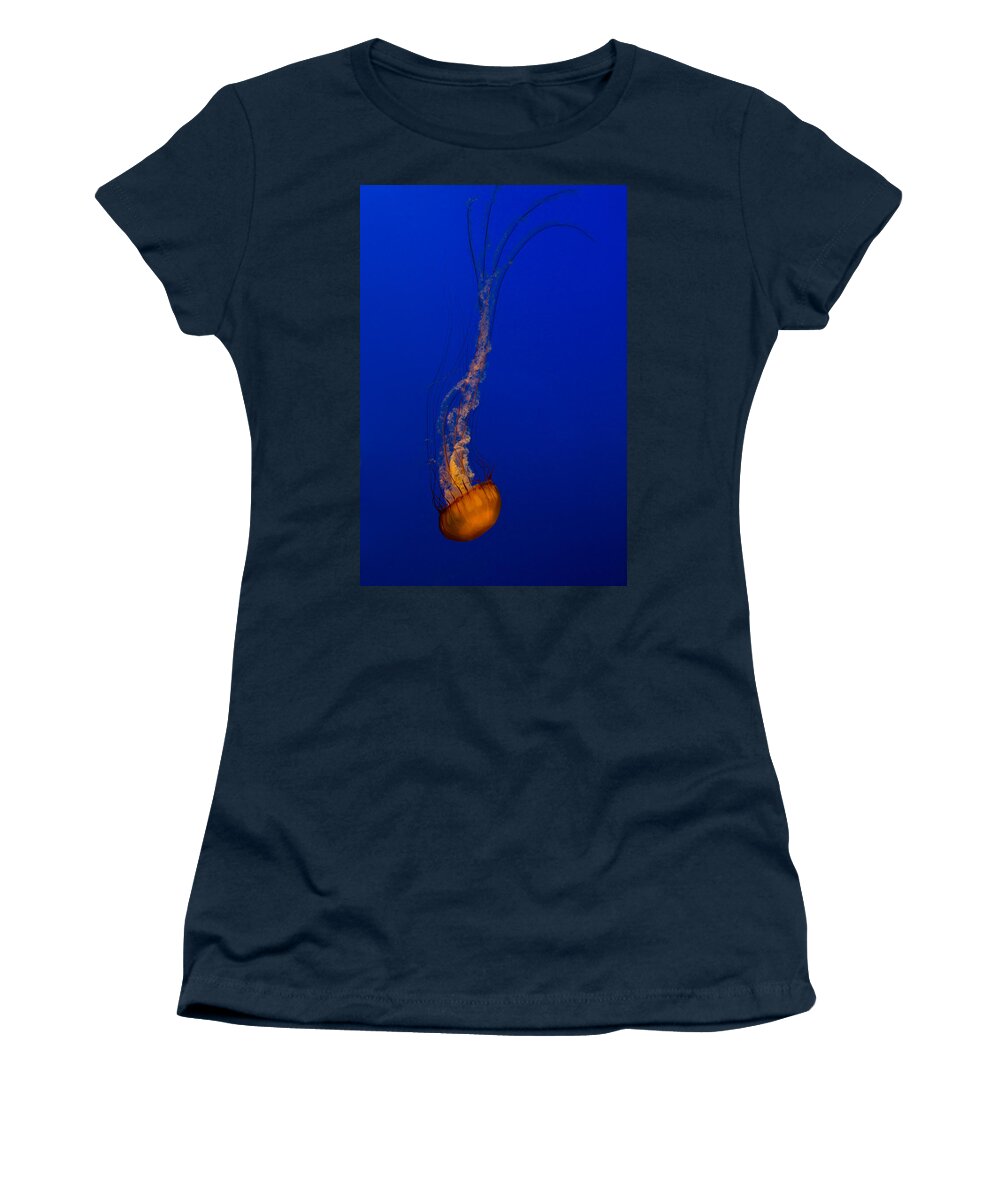 Jellyfish Women's T-Shirt featuring the photograph Downward Facing Pacific Sea Nettle 3 by Scott Campbell