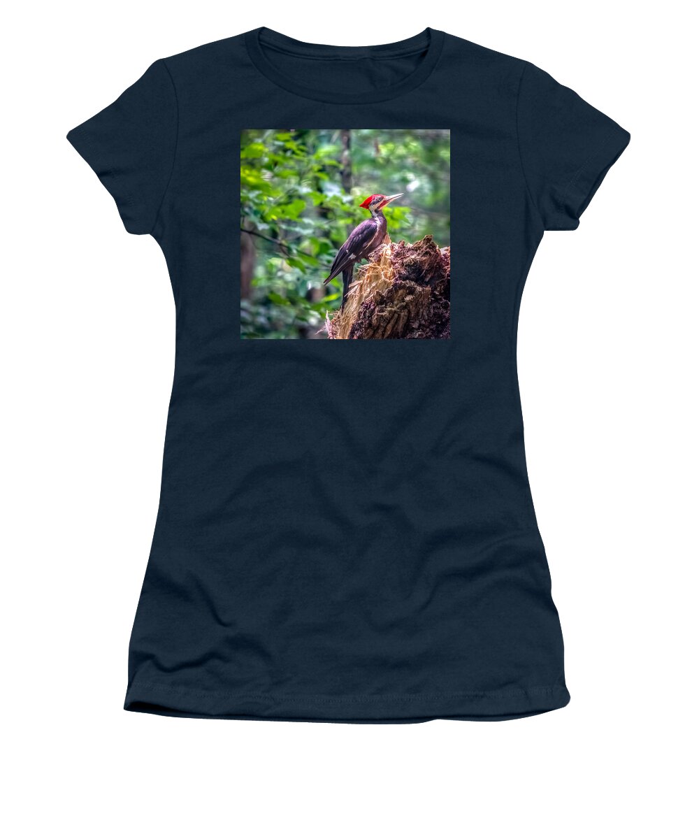 America Women's T-Shirt featuring the photograph Dryocopus pileatus by Traveler's Pics