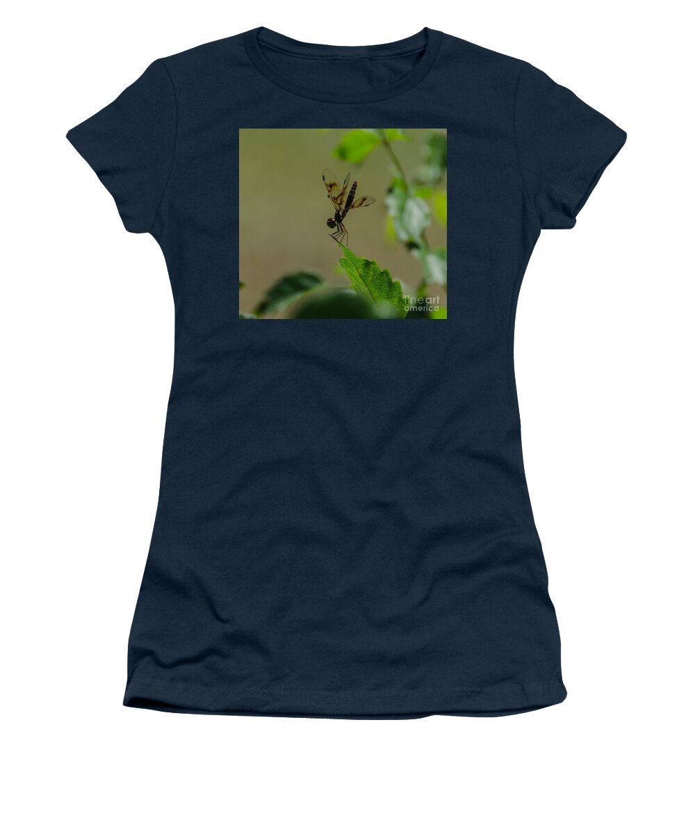 Insect Women's T-Shirt featuring the photograph Eastern Amberwing Dragonfly Male 2 by Donna Brown