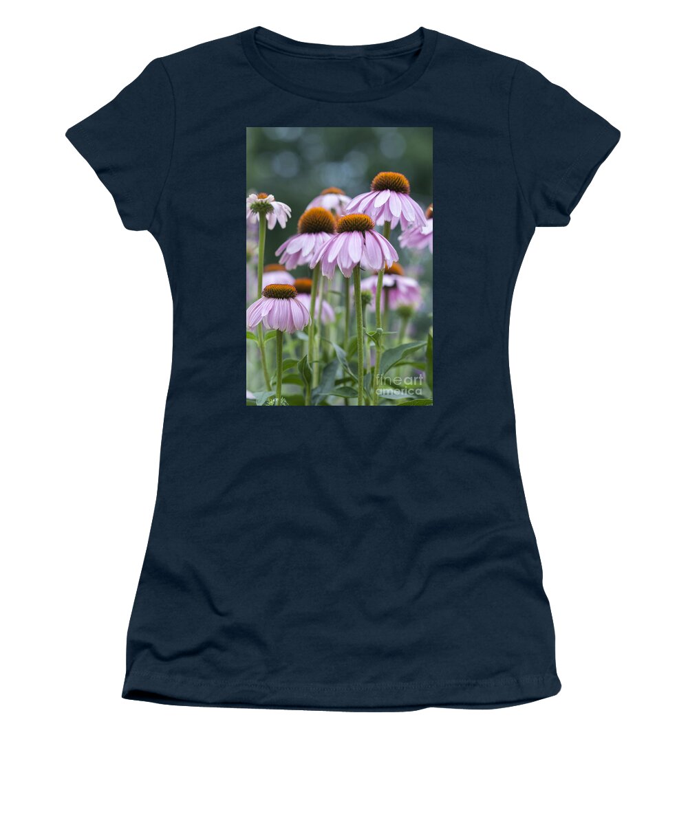 Beauty In Nature Women's T-Shirt featuring the photograph Echinacea Purpurea by Juli Scalzi
