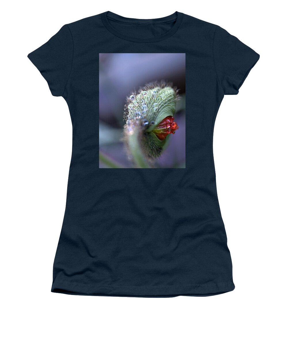Iceland Poppy Women's T-Shirt featuring the photograph Emergence by Joe Schofield
