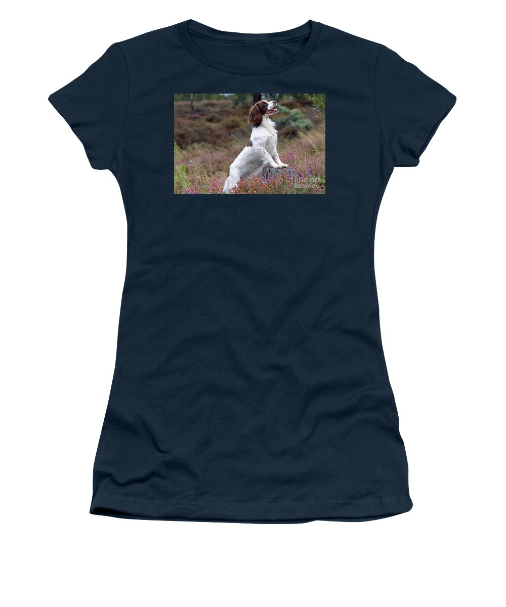 English Springer Spaniel Women's T-Shirt featuring the photograph English Springer Spaniel Dog by John Daniels