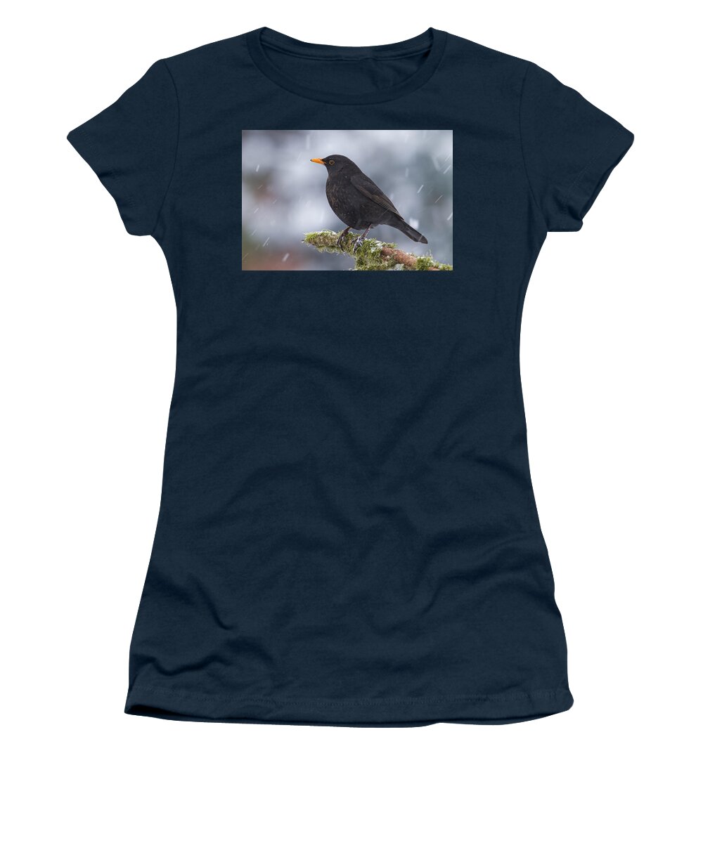 Nis Women's T-Shirt featuring the photograph Eurasian Blackbird And Snowfall Germany by Helge Schulz