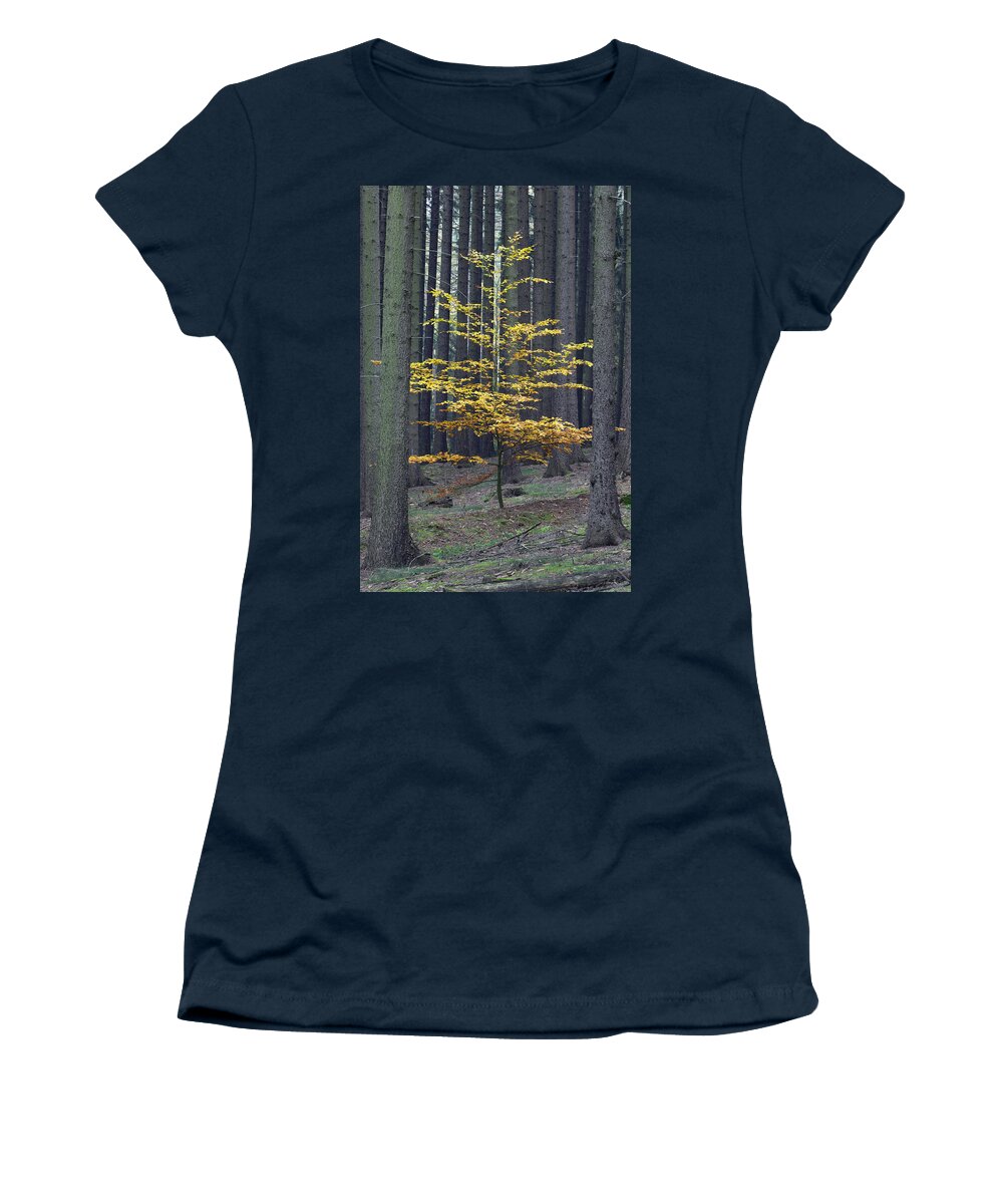 Feb0514 Women's T-Shirt featuring the photograph European Beech In Norway Spruce Forest by Duncan Usher