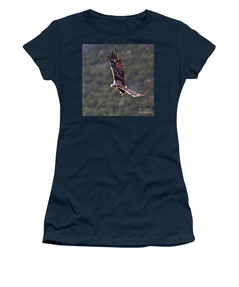 White_tailed Eagle Women's T-Shirt featuring the photograph European Flying Sea Eagle 4 by Heiko Koehrer-Wagner