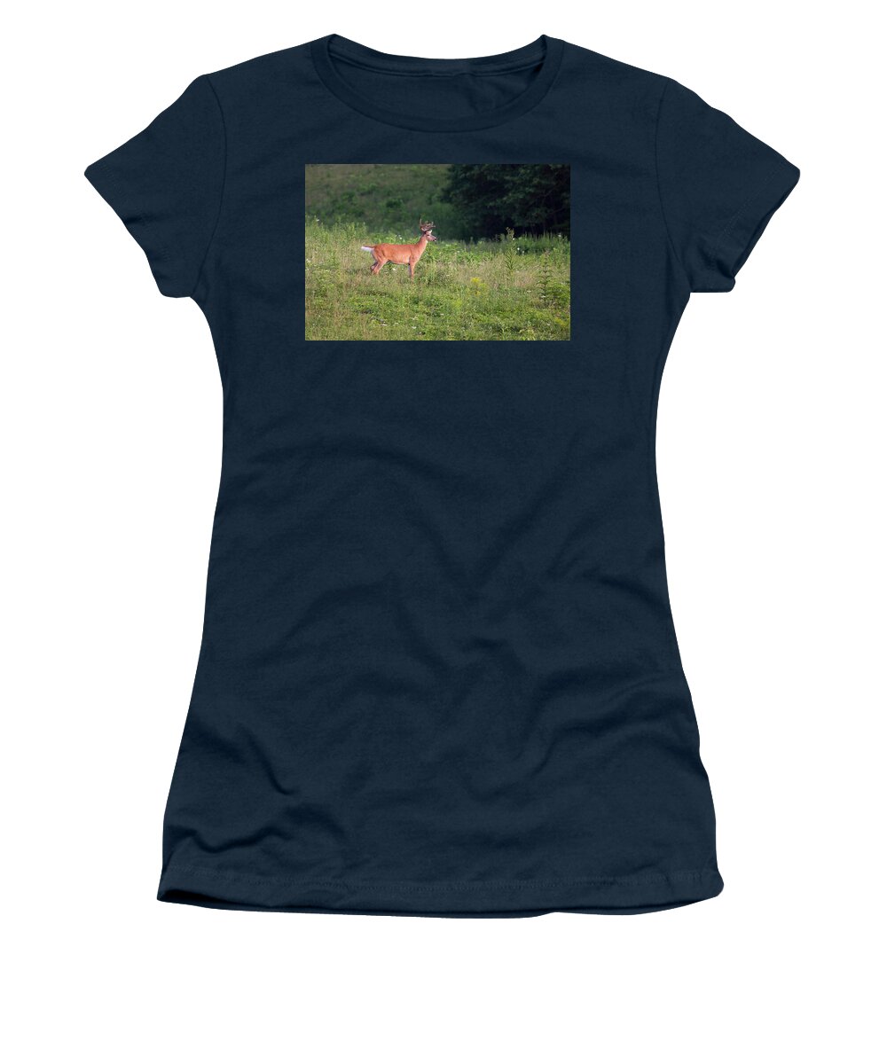 Mammals Women's T-Shirt featuring the photograph Eyeing A Mate by Dale Kincaid