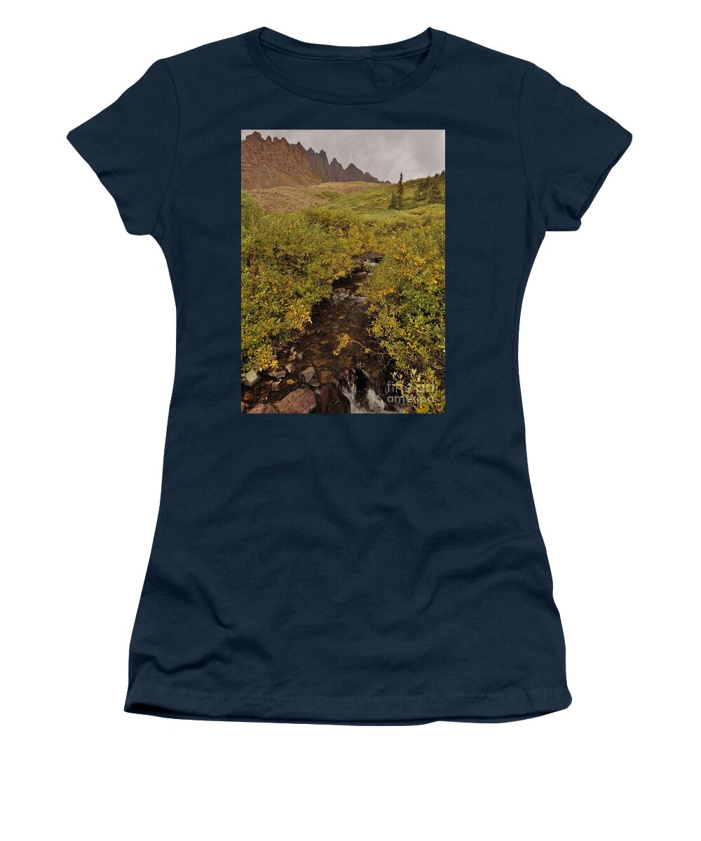 Fall Women's T-Shirt featuring the photograph Fall Colors by the Creek by Tonya Hance
