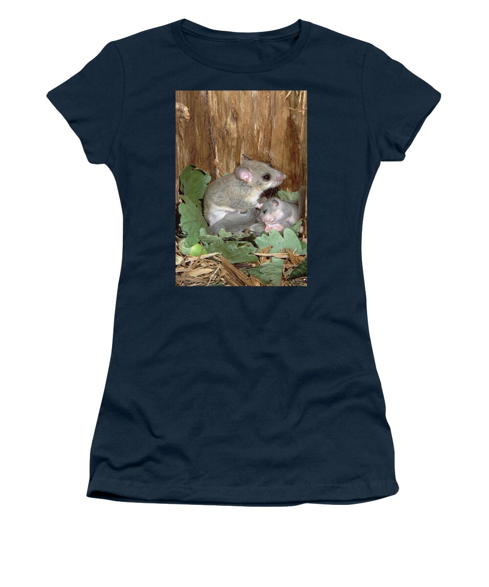 00196695 Women's T-Shirt featuring the photograph Fat Dormouse Mother Nursing Young by Konrad Wothe