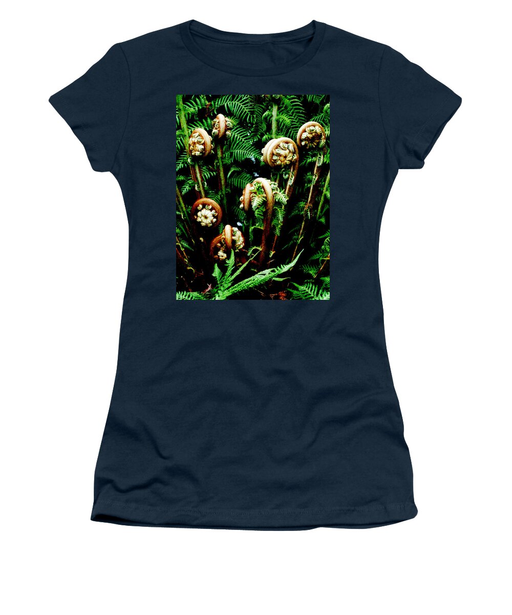 Fiddlehead Women's T-Shirt featuring the photograph Fiddleheads by Steve Taylor