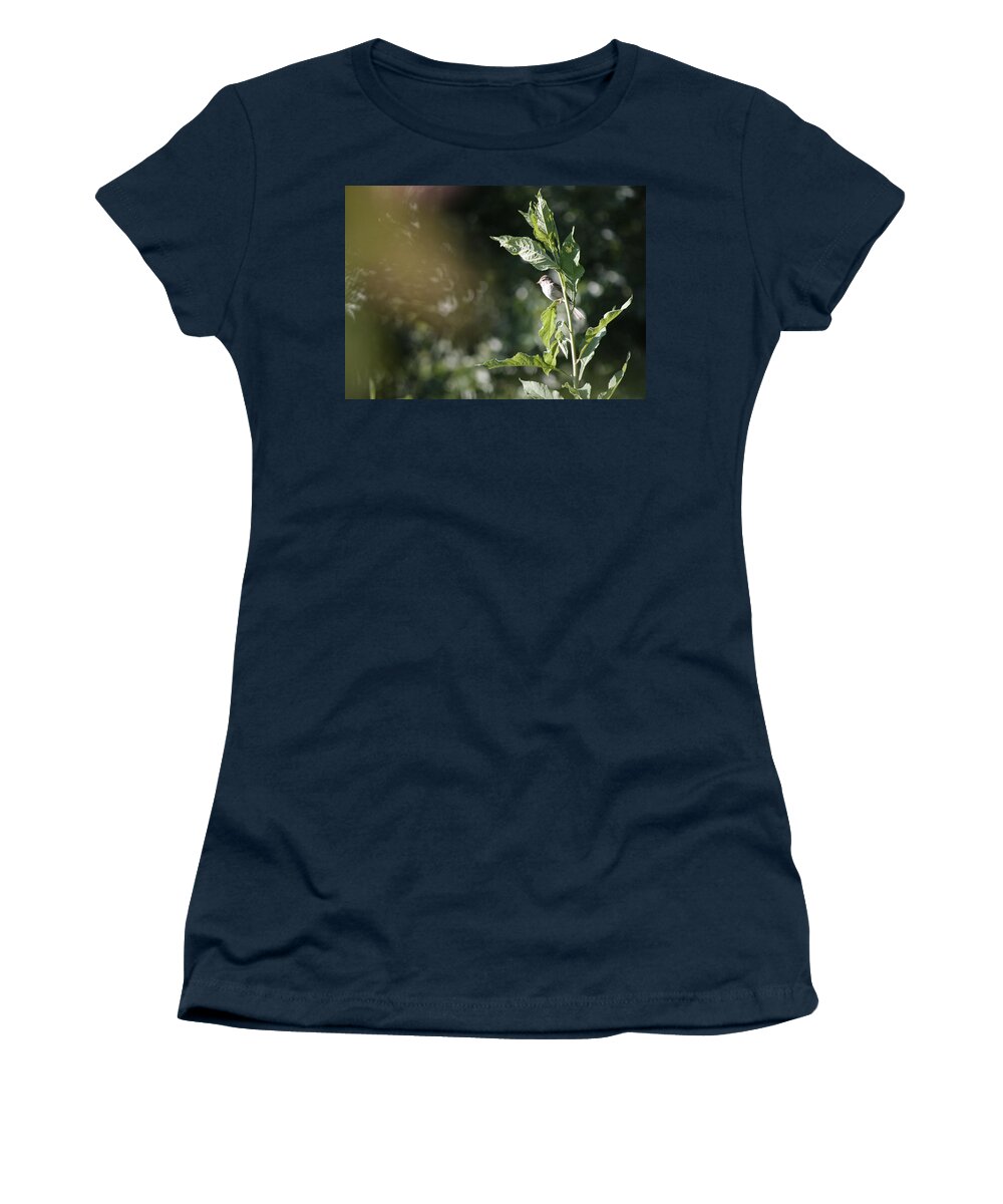 Field Sparrow Women's T-Shirt featuring the photograph Field Sparrow by Melinda Fawver