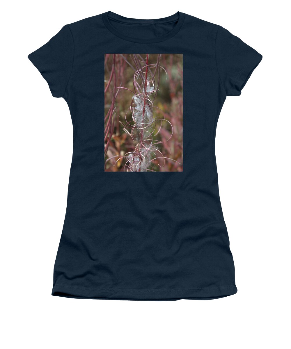 Fireweed Women's T-Shirt featuring the photograph Fireweed Seed Pod by Frank Madia