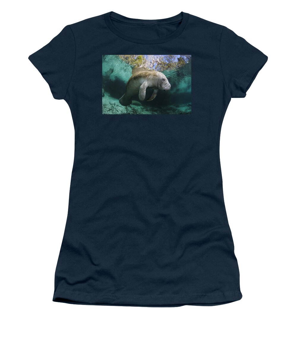 Animal Women's T-Shirt featuring the photograph Florida Manatee by Dave Fleetham