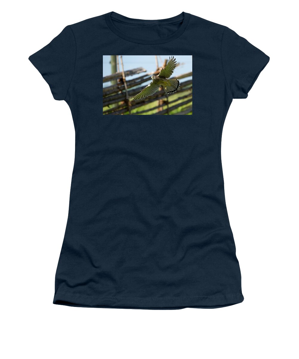 Flying Kestrel Women's T-Shirt featuring the photograph Flying Kestrel by Torbjorn Swenelius