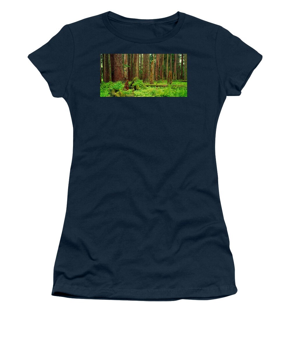 Photography Women's T-Shirt featuring the photograph Forest Floor Olympic National Park Wa by Panoramic Images