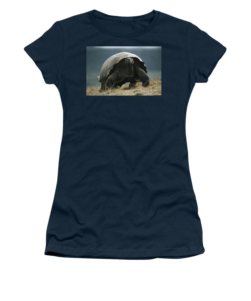 Feb0514 Women's T-Shirt featuring the photograph Galapagos Giant Tortoise Smiling Alcedo by Tui De Roy