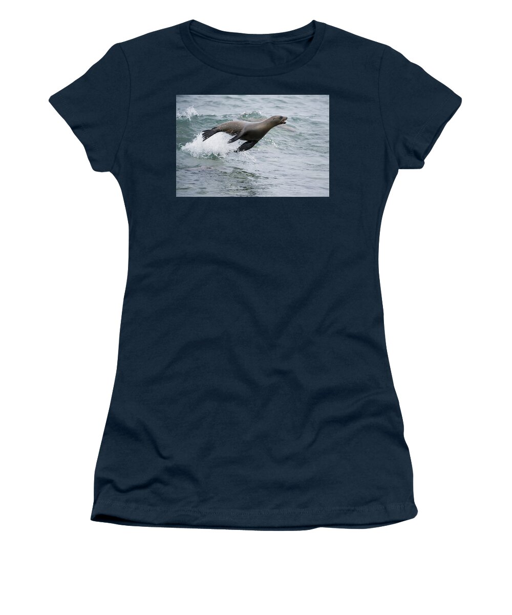 Tui De Roy Women's T-Shirt featuring the photograph Galapagos Sea Lion Surfing Mosquera by Tui De Roy
