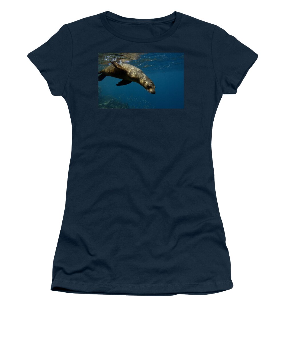 Feb0514 Women's T-Shirt featuring the photograph Galapagos Sea Lion Swimming Ecuador by Pete Oxford