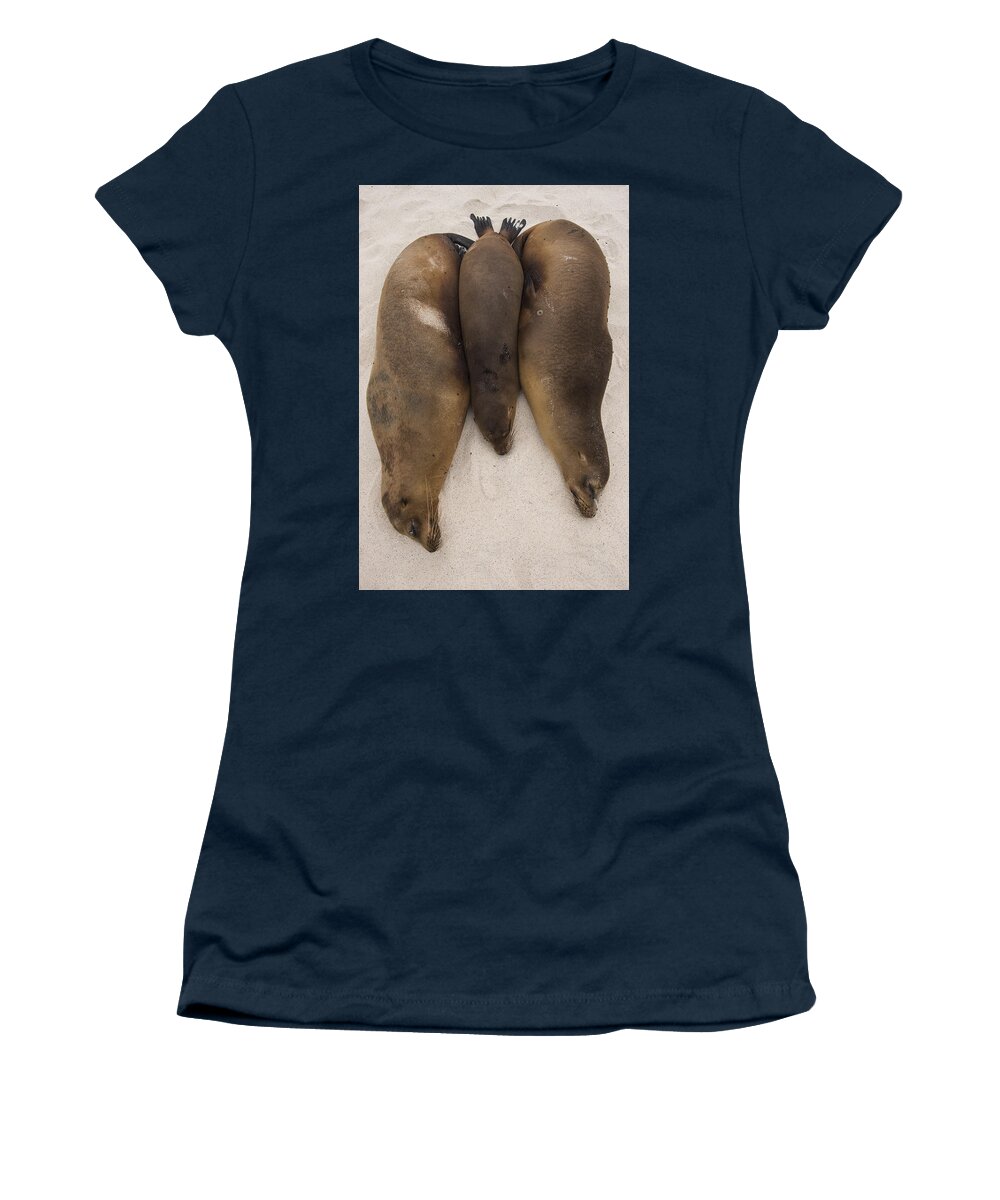 Pete Oxford Women's T-Shirt featuring the photograph Galapagos Sea Lions Gardner Bay Hood by Pete Oxford