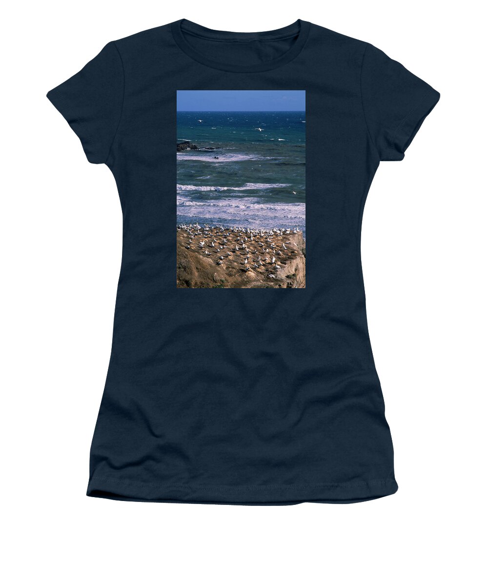 Bird Women's T-Shirt featuring the photograph Gannet Colony At Muriwai, West by Ralph Talmont