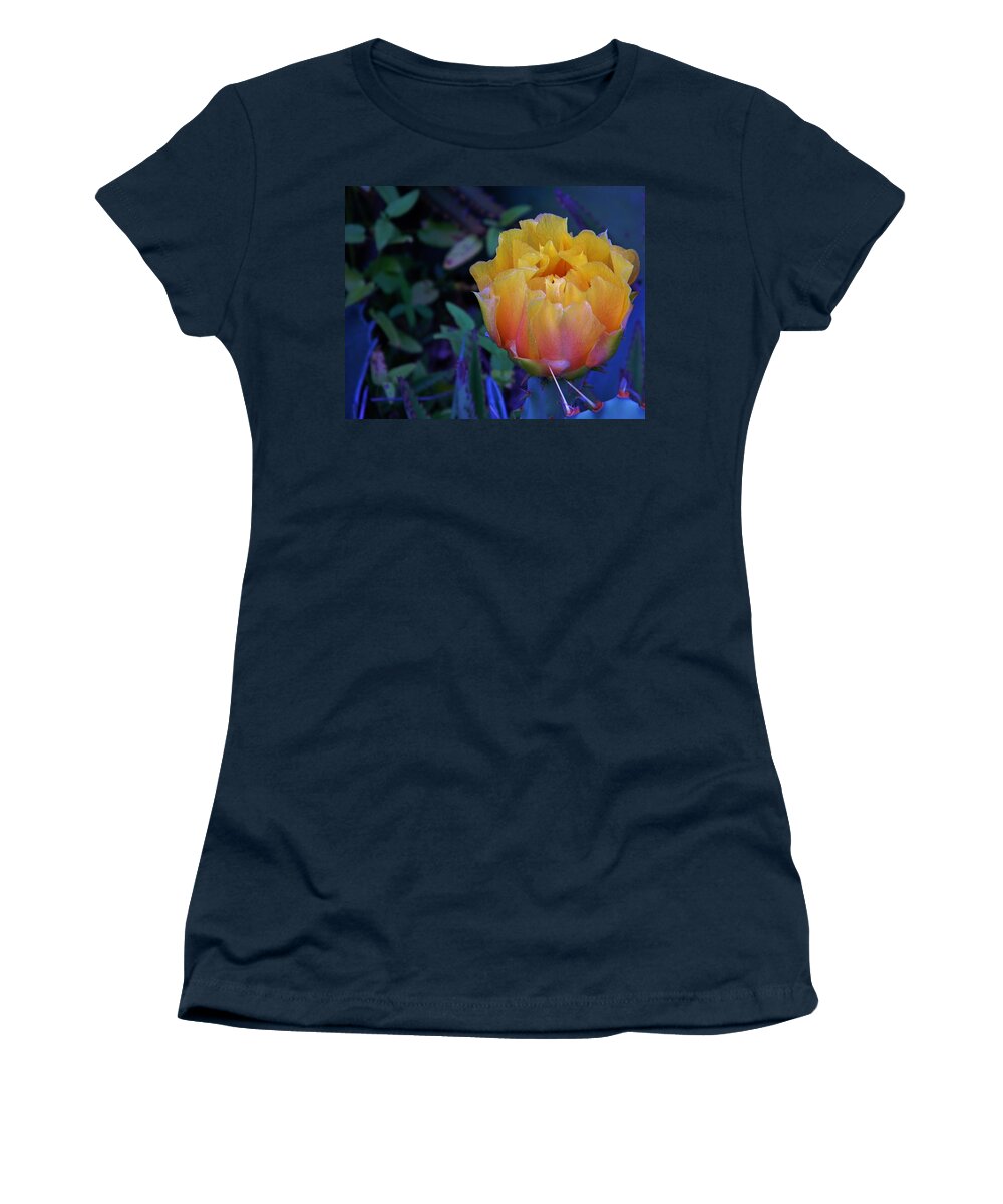 Get To The Point Women's T-Shirt featuring the photograph Get To The Point by Warren Thompson
