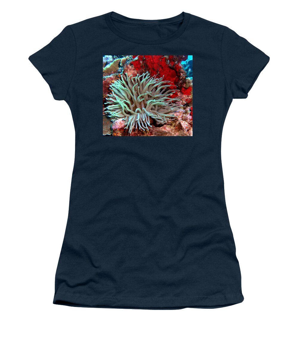Nature Women's T-Shirt featuring the photograph Giant Green Sea Anemone against Red Coral by Amy McDaniel