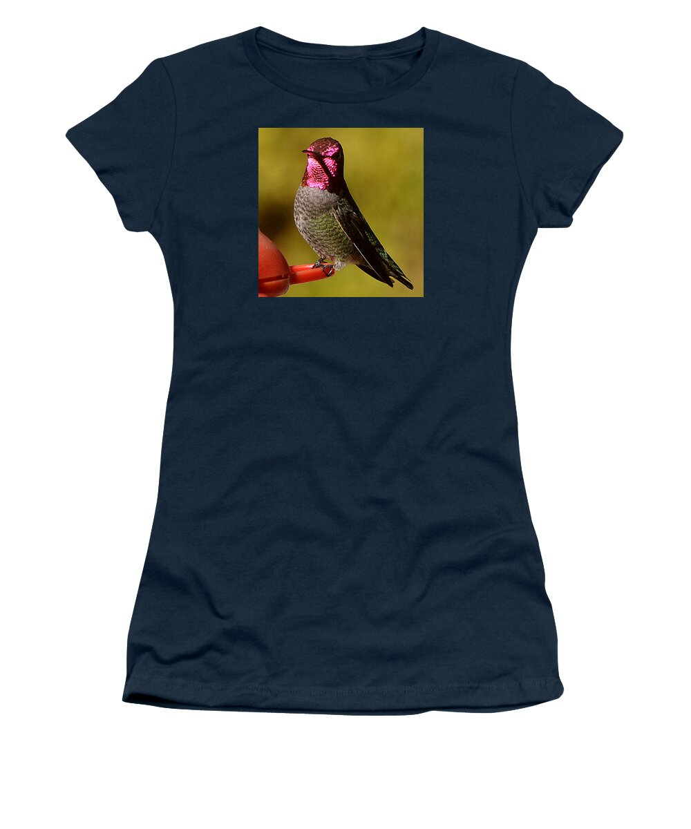 Hummingbird Women's T-Shirt featuring the photograph Glimmering Red Headed Mail Anna by Jay Milo