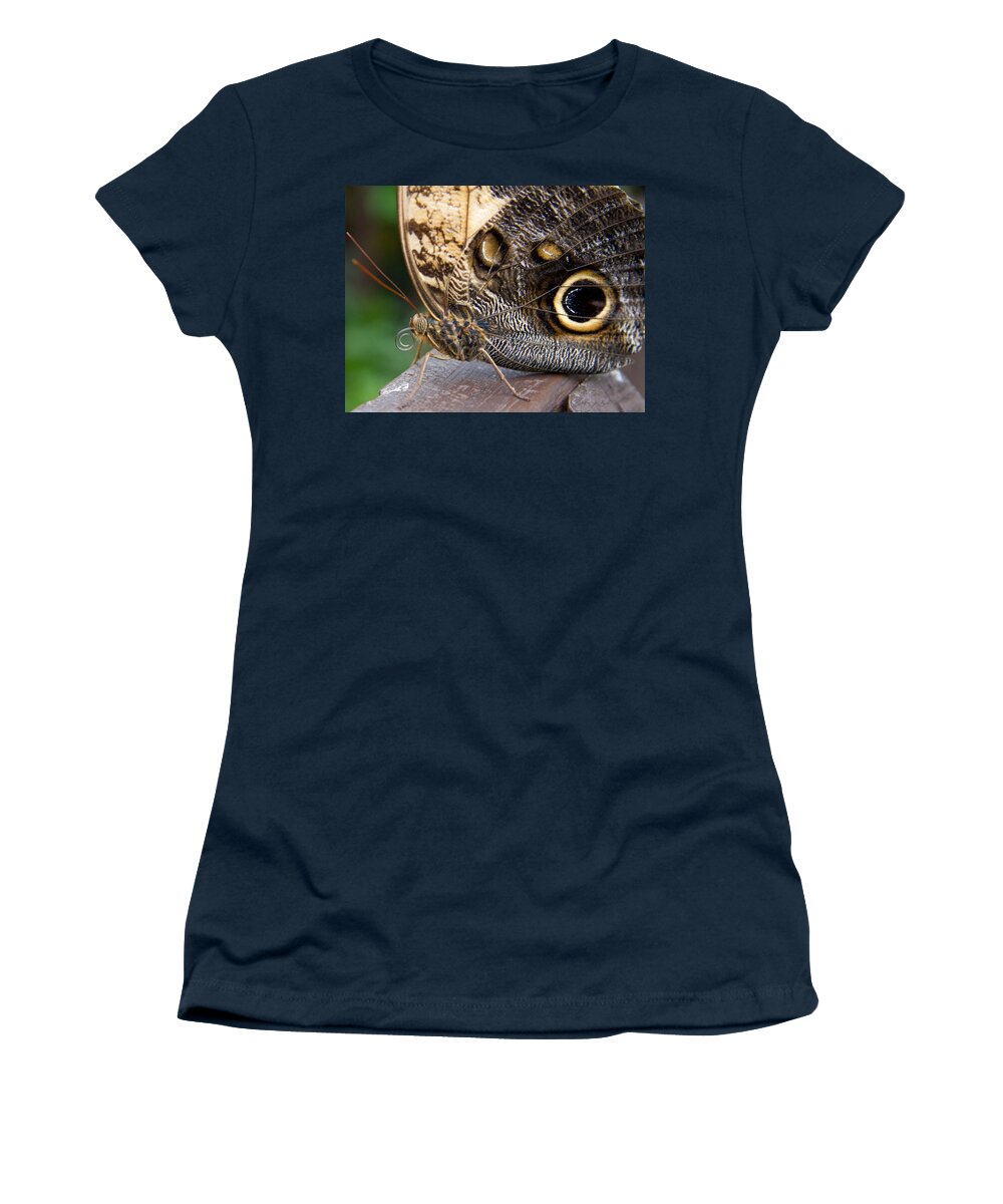 Butterfly Women's T-Shirt featuring the photograph Golden Butterfly by Natalie Rotman Cote