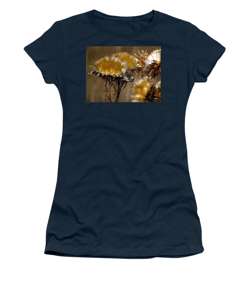 Wild Flowers Women's T-Shirt featuring the photograph Golden Thistle by Bill Gallagher