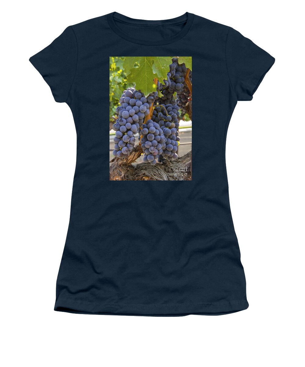 Yountville Napa Valley California Grape Grapes Grapevine Grapevines Vine Vines Vineyard Vineyards Leaf Leaves Fruit Fruits Food Foods Bunch Cluster Clusters Bunches Women's T-Shirt featuring the photograph Grape Cluster by Bob Phillips