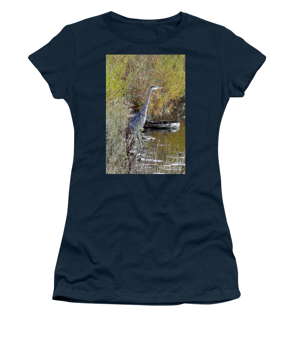 Great Blue Heron Women's T-Shirt featuring the photograph Great Blue Heron - Juvenile by Laurel Best