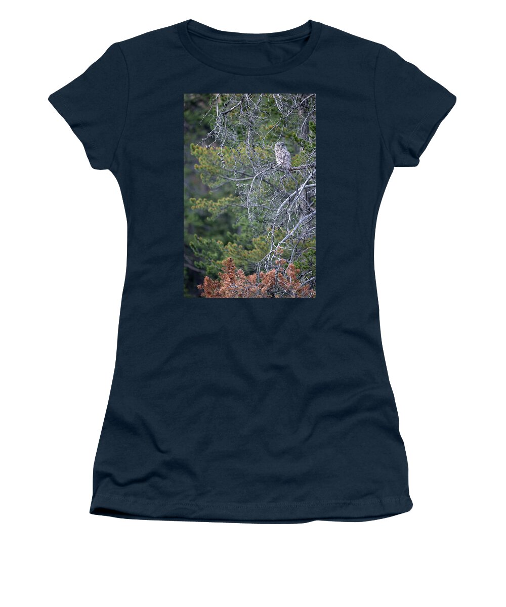 Great Gray Owl Women's T-Shirt featuring the photograph Great Gray and Colors by Max Waugh
