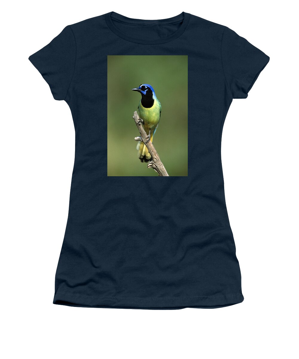 Feb0514 Women's T-Shirt featuring the photograph Green Jay Rio Grande Valley Texas by Tom Vezo