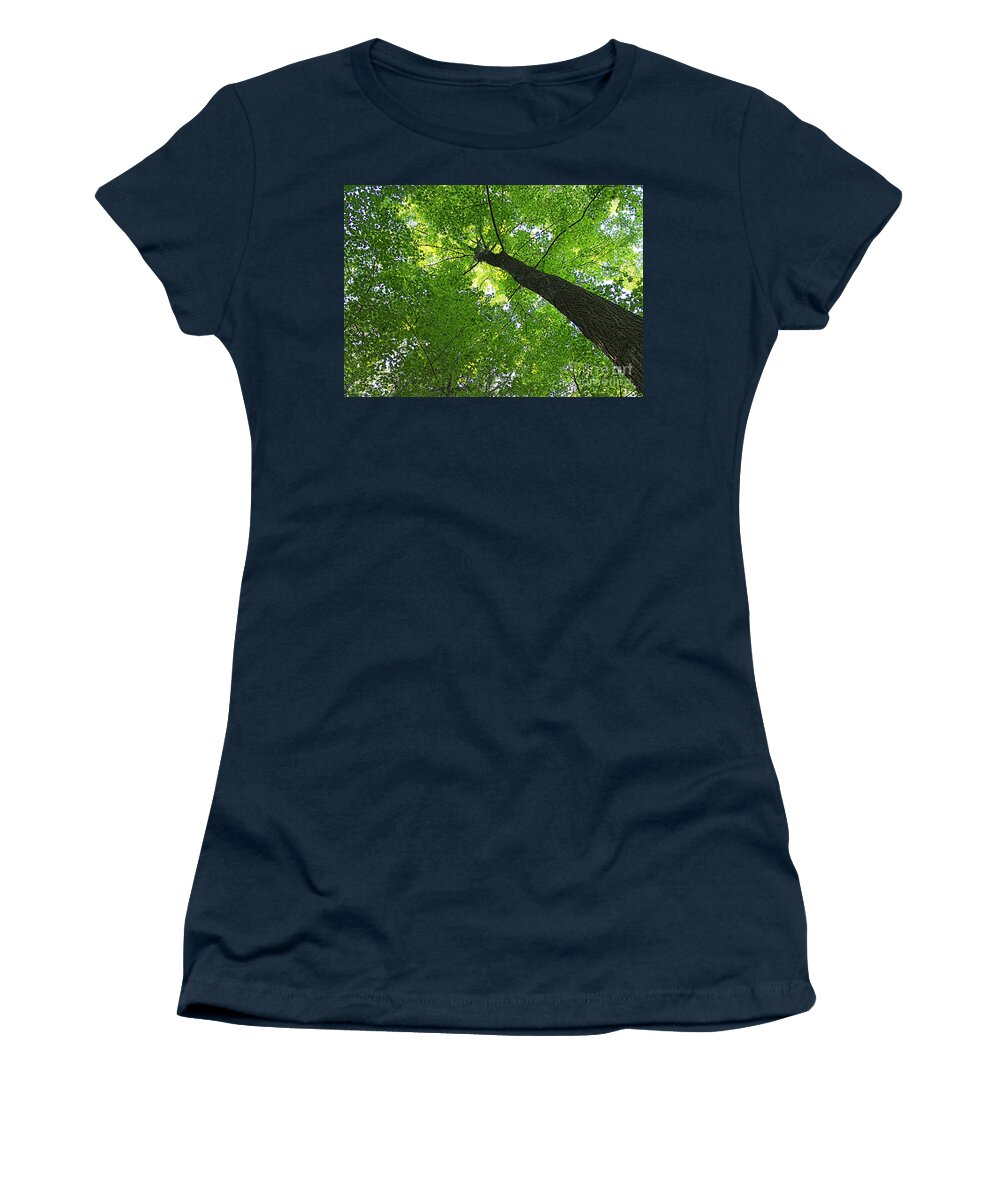 Tree Women's T-Shirt featuring the photograph Green Maple Canopy by Barbara McMahon