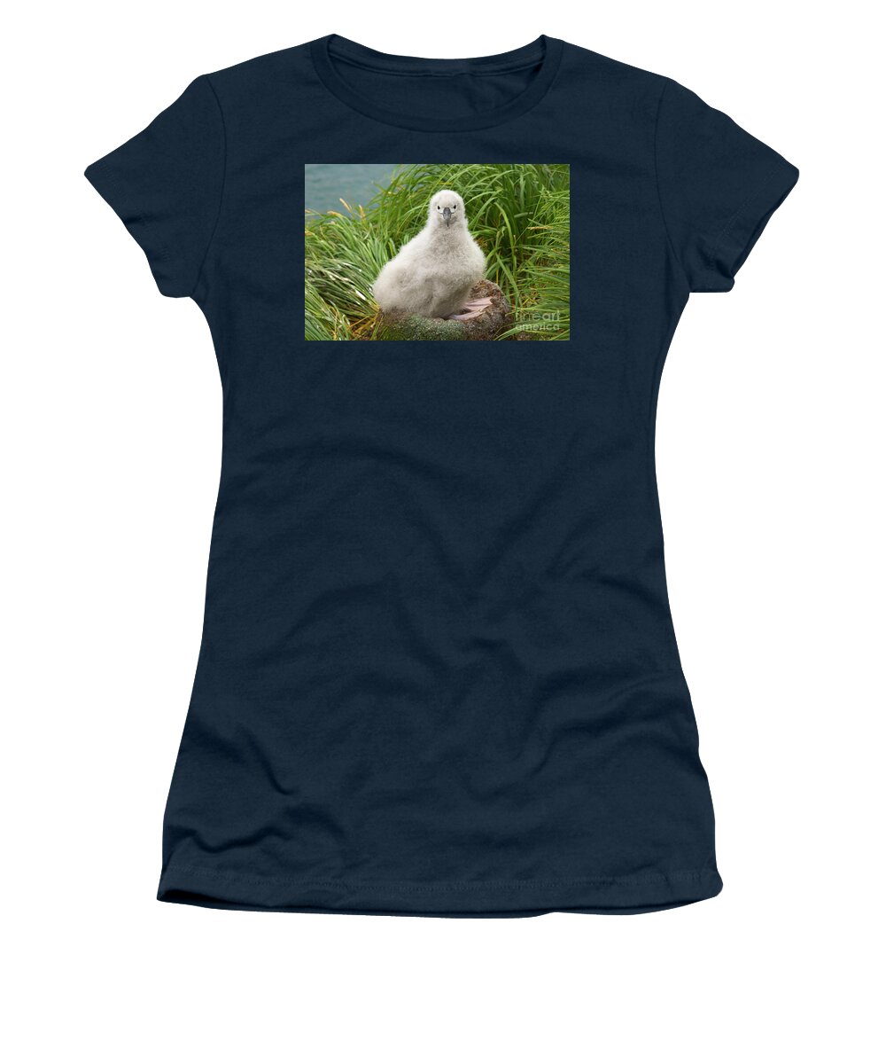 00345278 Women's T-Shirt featuring the photograph Grey-headed Albatross Chick by Yva Momatiuk John Eastcott