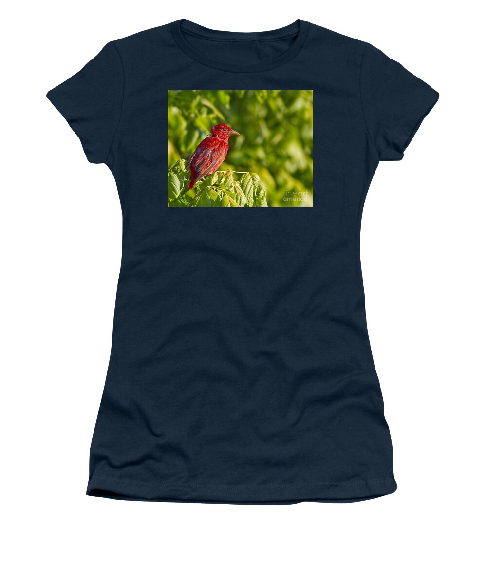 Handsome Young Fellow Women's T-Shirt featuring the photograph Handsome Young Fellow by Gary Holmes