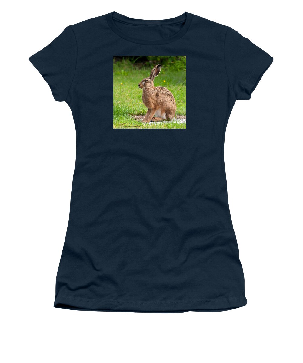 Hare Profile Women's T-Shirt featuring the photograph Hare Profile by Torbjorn Swenelius