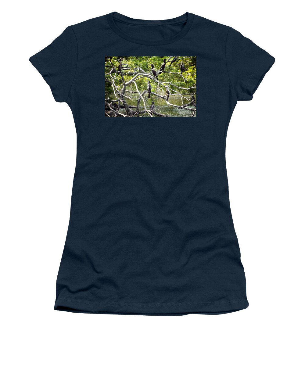 Birds Women's T-Shirt featuring the photograph HOA Meeting by Bob Hislop