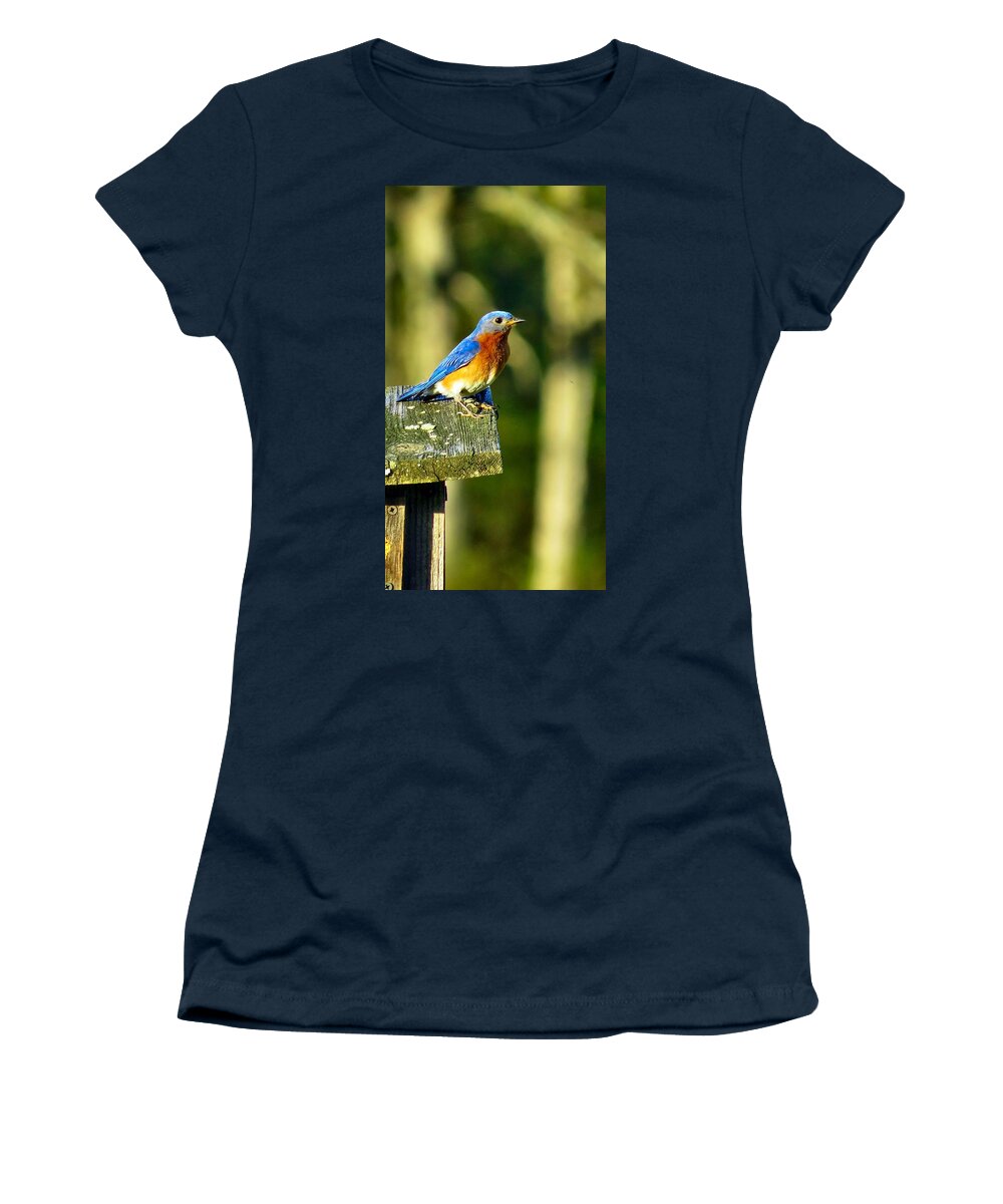 Bird Women's T-Shirt featuring the photograph Home Again by Art Dingo