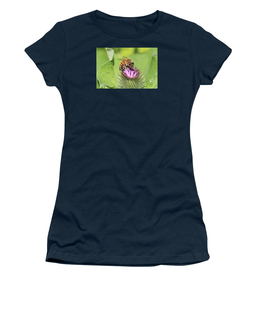 Honeybee Women's T-Shirt featuring the photograph Honeybee on Burdock by Lucinda VanVleck