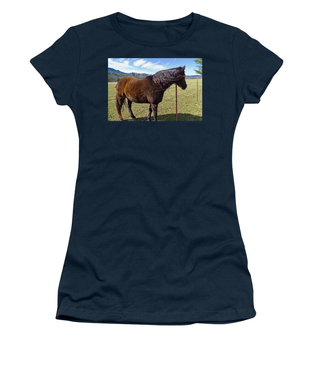 Domestic Horse Women's T-Shirt featuring the photograph Horse by Melinda Fawver
